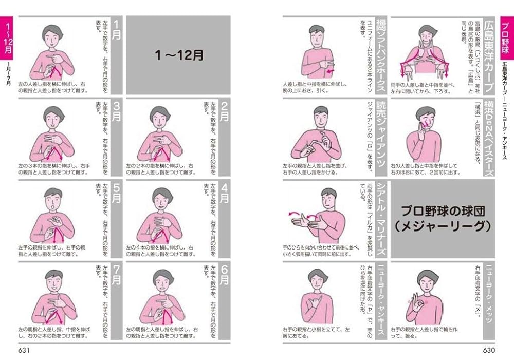 手話パーフェクト辞典　日本手話のしくみ　日本手話のしくみ　DVD付き　3冊セット 手話パーフェクト辞典 日本手話のしくみ 日本手話のしくみ DVD